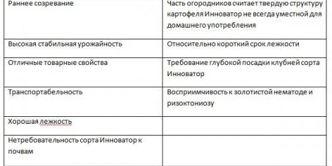 Inovator krompira: karakteristike, sadnja i njega